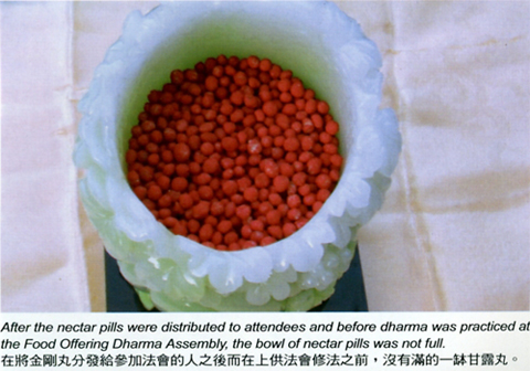 佛陀身边见到的事实【圣量】-图片1