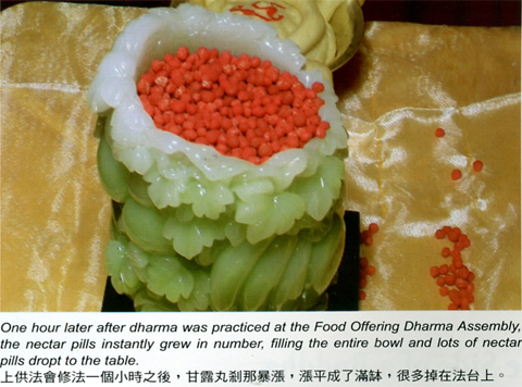 佛陀身边见到的事实【圣量】-图片2